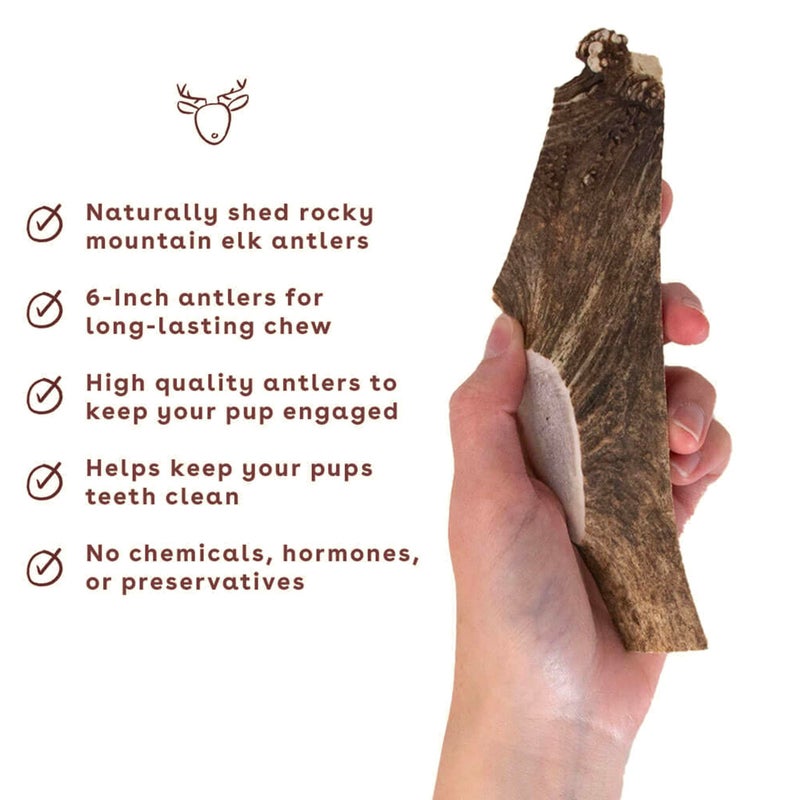 Pupford Split Elk Antlers, Durable & Tough Natural Chew Toy, Long Lasting, Cleans Teeth, 5-8â€ Long (3 Count) - Image 3